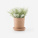 Small Plant Pots